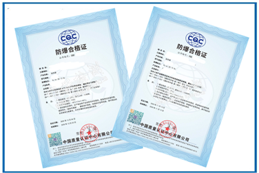 Case of Ex Certification for Electric Heaters