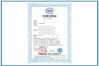 Case fo Ex Certificate for Positive Pressure Controller